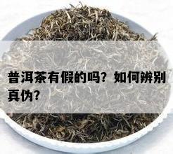 普洱茶有假的吗？如何辨别真伪？