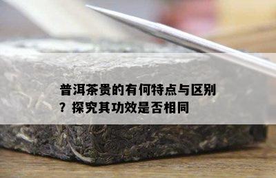 普洱茶贵的有何特点与区别？探究其功效是否相同