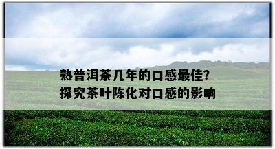 熟普洱茶几年的口感更佳？探究茶叶陈化对口感的影响