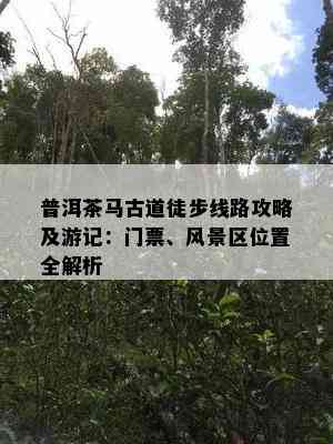 普洱茶马古道徒步线路攻略及游记：门票、风景区位置全解析