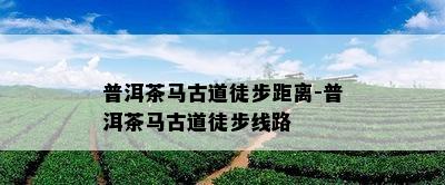 普洱茶马古道徒步距离-普洱茶马古道徒步线路