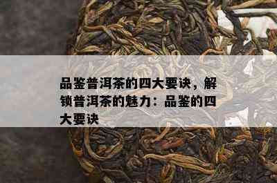 品鉴普洱茶的四大要诀，解锁普洱茶的魅力：品鉴的四大要诀