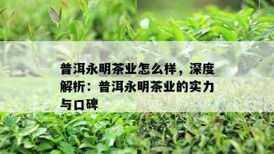 普洱永明茶业怎么样，深度解析：普洱永明茶业的实力与口碑