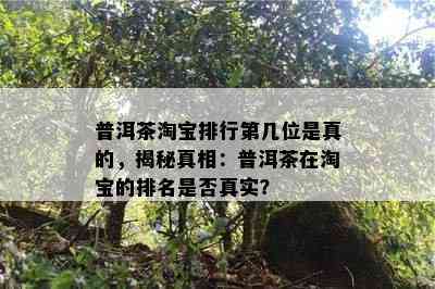 普洱茶淘宝排行第几位是真的，揭秘真相：普洱茶在淘宝的排名是否真实？