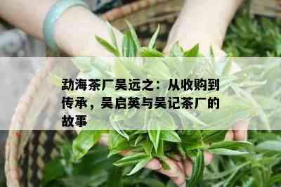 勐海茶厂吴远之：从收购到传承，吴启英与吴记茶厂的故事