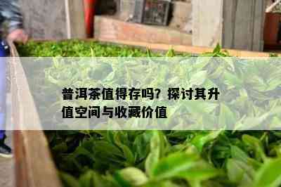 普洱茶值得存吗？探讨其升值空间与收藏价值