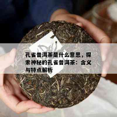 孔雀普洱茶是什么意思，探索神秘的孔雀普洱茶：含义与特点解析