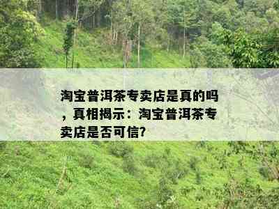 淘宝普洱茶专卖店是真的吗，真相揭示：淘宝普洱茶专卖店是否可信？