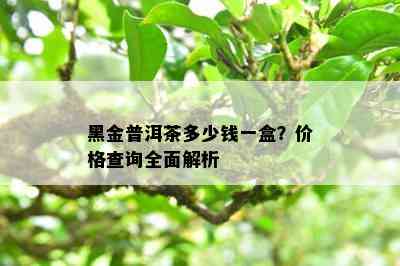 黑金普洱茶多少钱一盒？价格查询全面解析