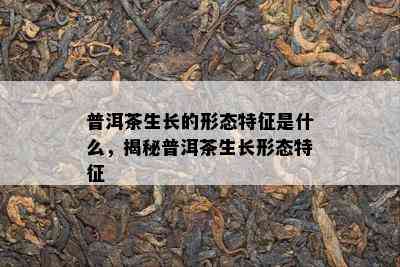 普洱茶生长的形态特征是什么，揭秘普洱茶生长形态特征