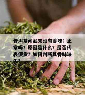 普洱茶闻起来没有香味：正常吗？原因是什么？是否代表假货？如何判断其香味缺失？