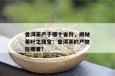 普洱茶产于哪个省份，揭秘茶叶之瑰宝：普洱茶的产地在哪里？