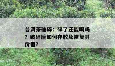 普洱茶破碎：碎了还能喝吗？破碎后如何存放及恢复其价值？