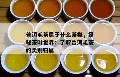 普洱毛茶属于什么茶类，探秘茶叶世界：了解普洱毛茶的类别归属