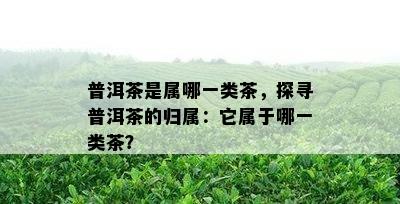 普洱茶是属哪一类茶，探寻普洱茶的归属：它属于哪一类茶？