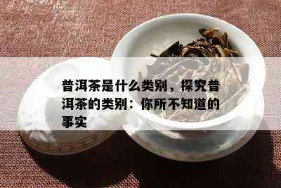 普洱茶是什么类别，探究普洱茶的类别：你所不知道的事实