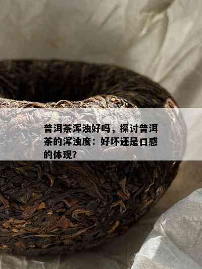 普洱茶浑浊好吗，探讨普洱茶的浑浊度：好坏还是口感的体现？