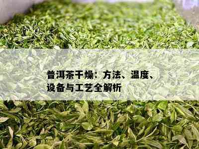 普洱茶干燥：方法、温度、设备与工艺全解析