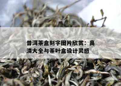 普洱茶盒刻字图片欣赏：高清大全与茶叶盒设计灵感