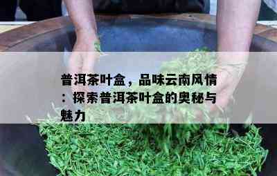 普洱茶叶盒，品味云南风情：探索普洱茶叶盒的奥秘与魅力