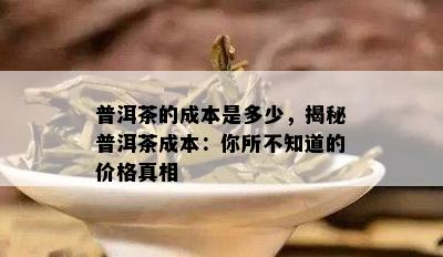 普洱茶的成本是多少，揭秘普洱茶成本：你所不知道的价格真相