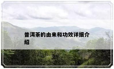 普洱茶的由来和功效详细介绍