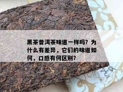 黑茶普洱茶味道一样吗？为什么有差异，它们的味道如何，口感有何区别？