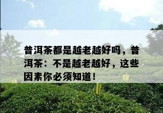 普洱茶都是越老越好吗，普洱茶：不是越老越好，这些因素你必须知道！