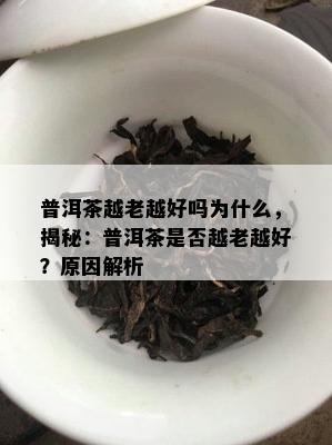 普洱茶越老越好吗为什么，揭秘：普洱茶是否越老越好？原因解析