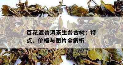 百花潭普洱茶生普古树：特点、价格与图片全解析