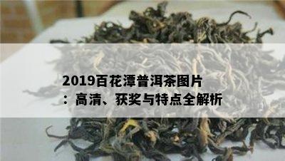 2019百花潭普洱茶图片：高清、获奖与特点全解析