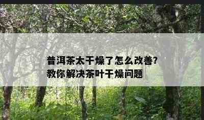 普洱茶太干燥了怎么改善？教你解决茶叶干燥问题