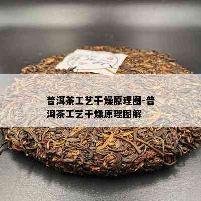 普洱茶工艺干燥原理图-普洱茶工艺干燥原理图解