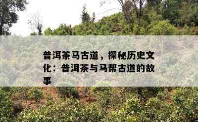 普洱茶马古道，探秘历史文化：普洱茶与马帮古道的故事