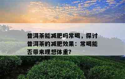 普洱茶能减肥吗常喝，探讨普洱茶的减肥效果：常喝能否带来理想体重？