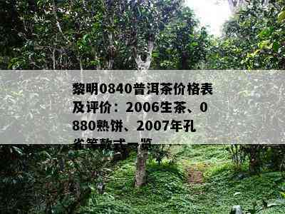 黎明0840普洱茶价格表及评价：2006生茶、0880熟饼、2007年孔雀等款式一览