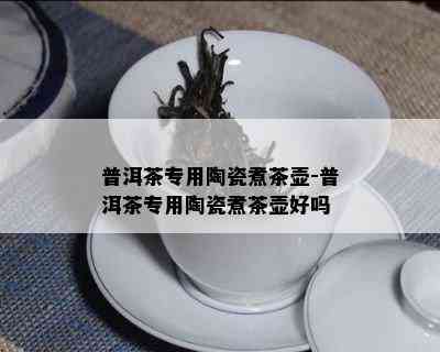 普洱茶专用陶瓷煮茶壶-普洱茶专用陶瓷煮茶壶好吗