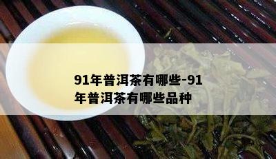 91年普洱茶有哪些-91年普洱茶有哪些品种