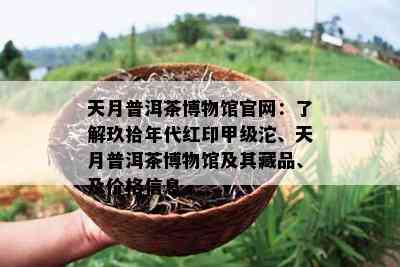 天月普洱茶博物馆官网：了解玖拾年代红印甲级沱、天月普洱茶博物馆及其藏品、及价格信息