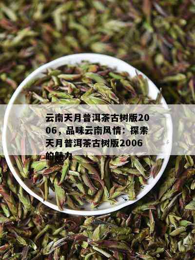 云南天月普洱茶古树版2006，品味云南风情：探索天月普洱茶古树版2006的魅力