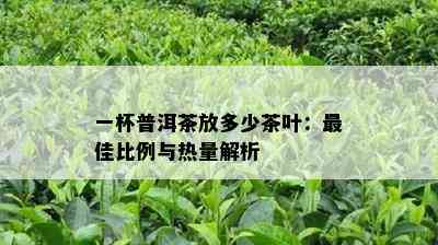 一杯普洱茶放多少茶叶：更佳比例与热量解析