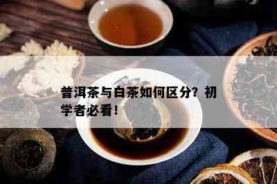 普洱茶与白茶如何区分？初学者必看！