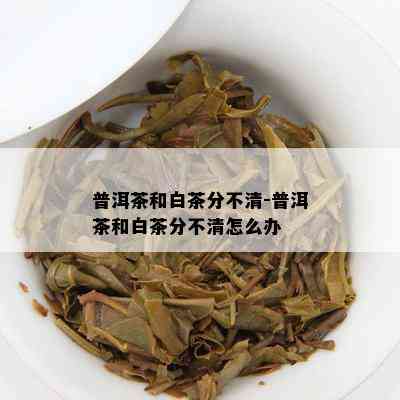 普洱茶和白茶分不清-普洱茶和白茶分不清怎么办