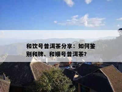 和饮号普洱茶分享：如何鉴别和牌、和顺号普洱茶？