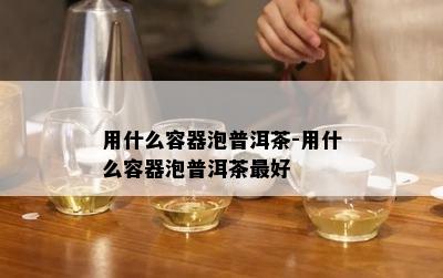 用什么容器泡普洱茶-用什么容器泡普洱茶更好