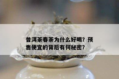 普洱茶春茶为什么好喝？预售便宜的背后有何秘密？