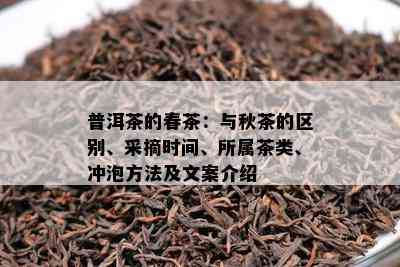 普洱茶的春茶：与秋茶的区别、采摘时间、所属茶类、冲泡方法及文案介绍