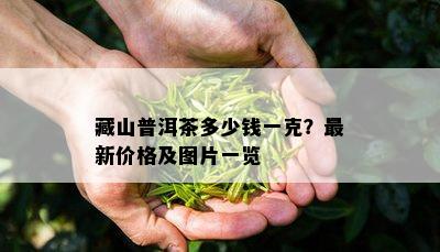 藏山普洱茶多少钱一克？最新价格及图片一览