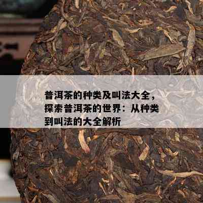 普洱茶的种类及叫法大全，探索普洱茶的世界：从种类到叫法的大全解析