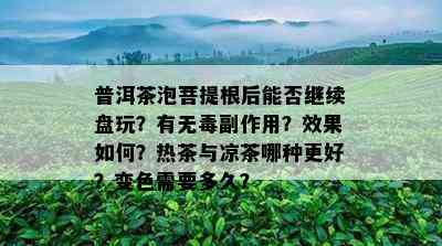 普洱茶泡菩提根后能否继续盘玩？有无副作用？效果如何？热茶与凉茶哪种更好？变色需要多久？